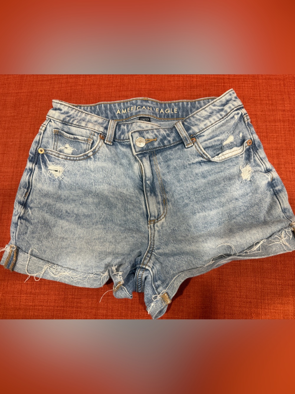 American Eagle Outfitters Distressed Light Wash Denim Cutoff Shorts
